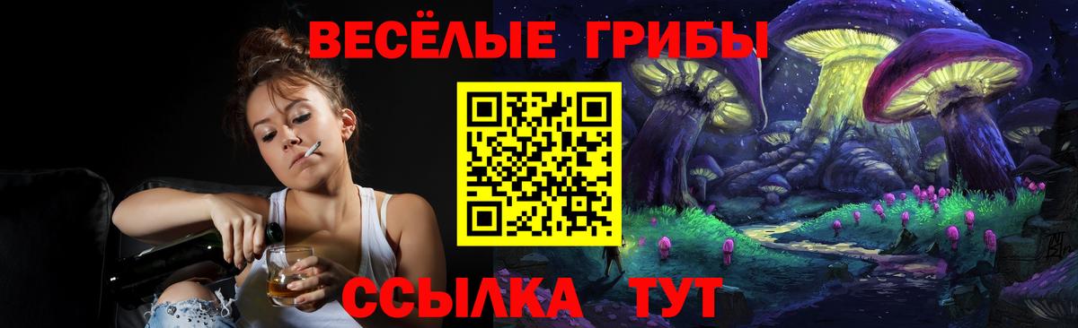 дарнет шоп  Псилоцибиновые грибы Magic Shrooms  Вход с VPN  Рубцовск 